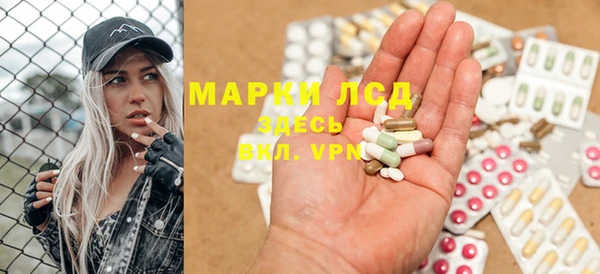 прущие грибы Белокуриха
