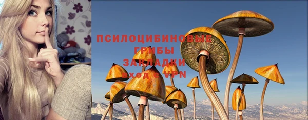 твердый Балабаново