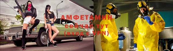 прущие грибы Белокуриха