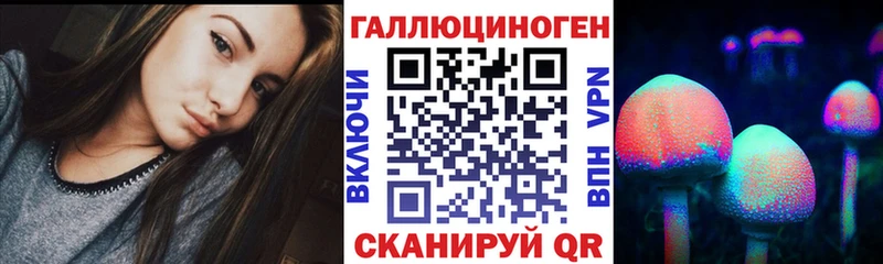 мега ТОР Калуга Псилоцибиновые грибы мицелий